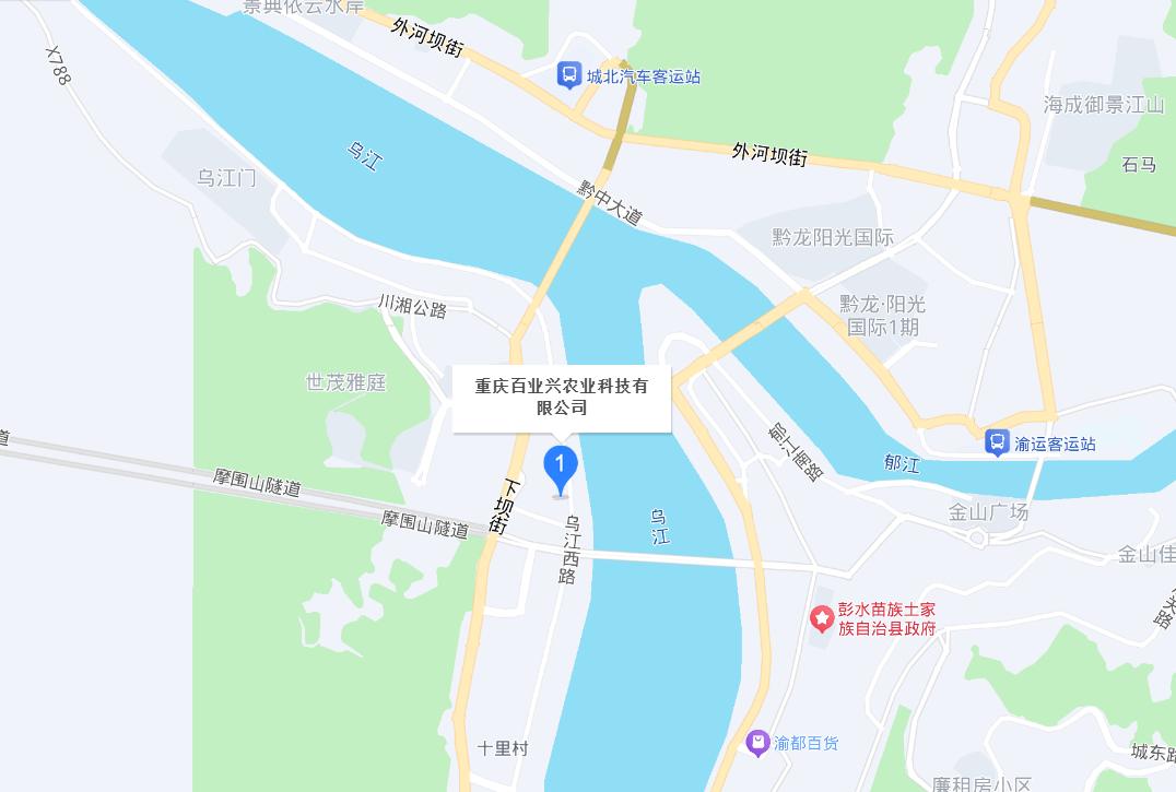 地图